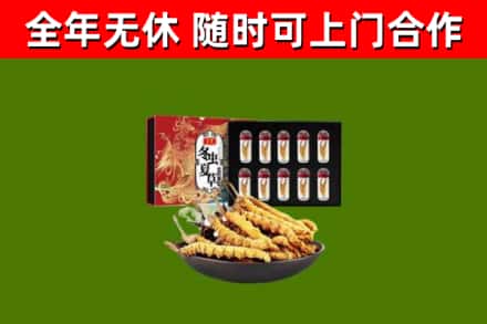 威县烟酒回收冬虫夏草礼盒.jpg